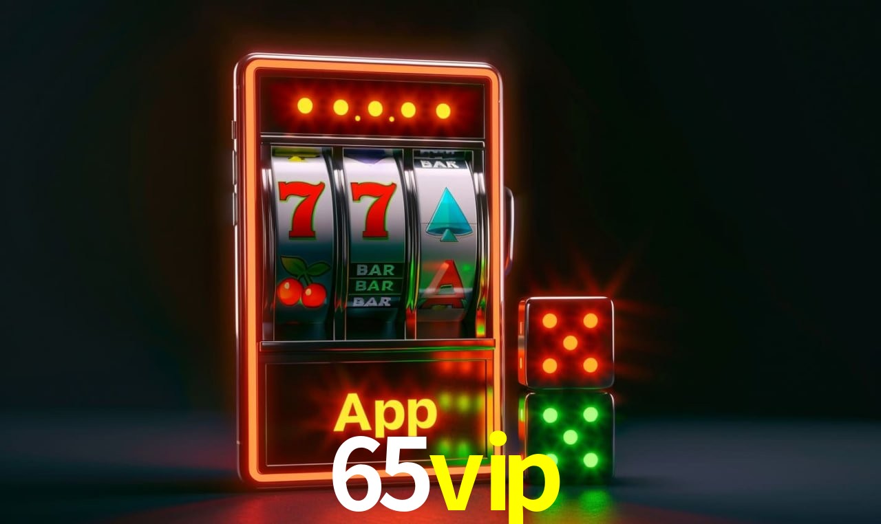 Experiência VIP 65vip